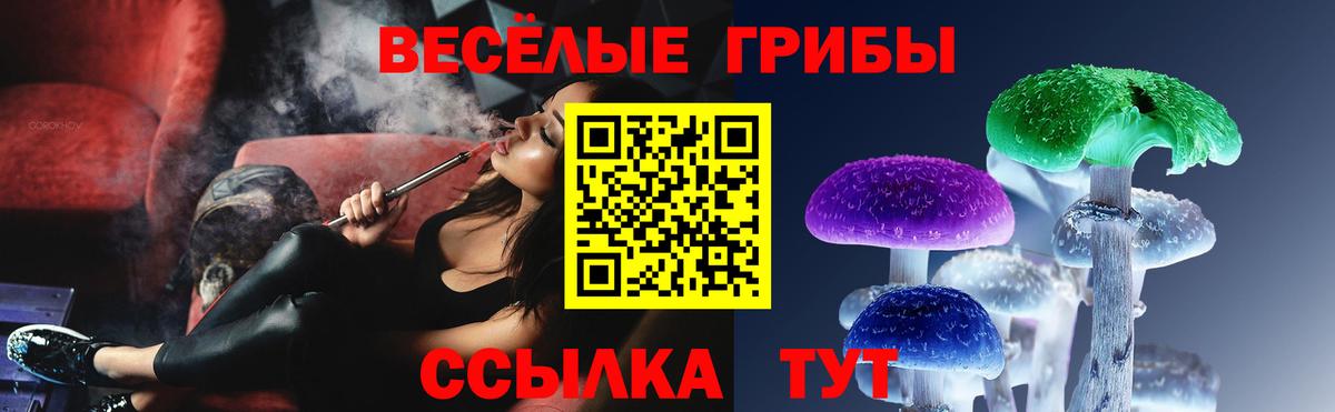 Павлово  Галлюциногенные грибы MAGIC MUSHROOMS  Галлюциногенные грибы MAGIC MUSHROOMS  Вход с VPN 